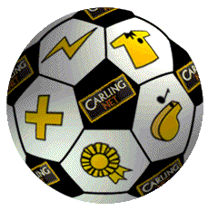 Welcome to CarlingNet